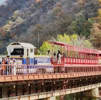 Pedalling around Gangchon Rail Park