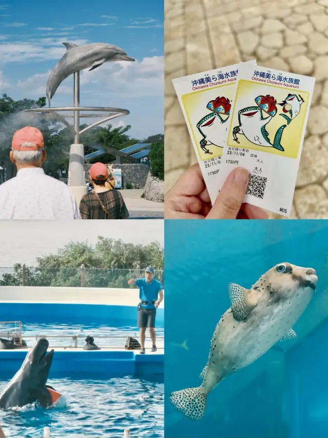 日本｜第一次來沖繩必到訪的美麗海水族館🪸