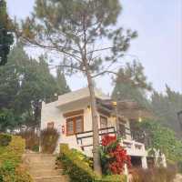 ที่พักเขาค้อ สไตล์บ้านสวนอังกฤษสุดวินเทจ ราคาหลักร้อย💐🏠