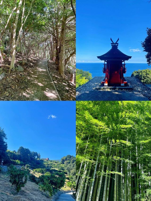 ここ知ってる？🫣🌿自然の中にある博物館🤍【神奈川県】