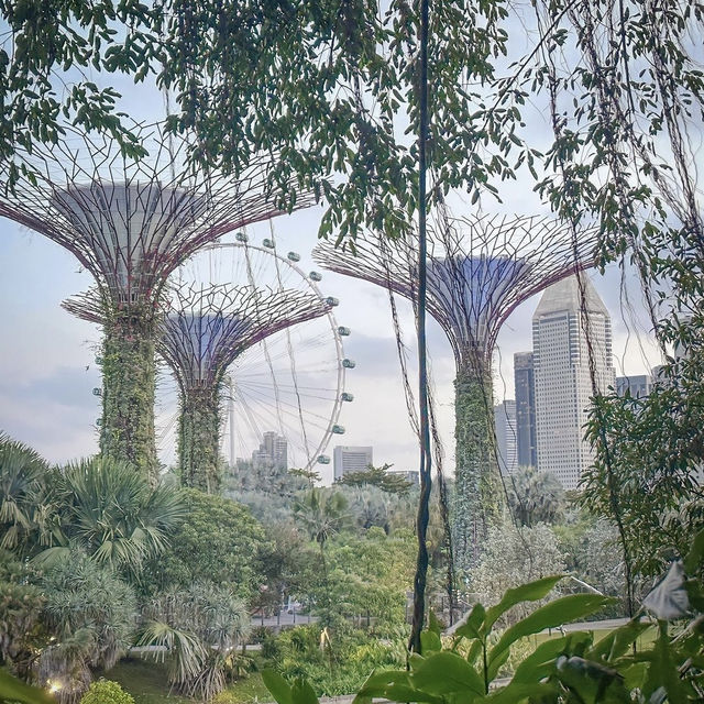 Garden By The Bay, Singapore