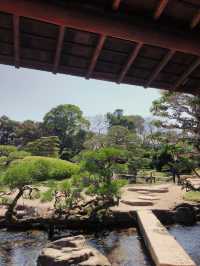 岡山 - 必去日本三大名園之一 :「後樂園」