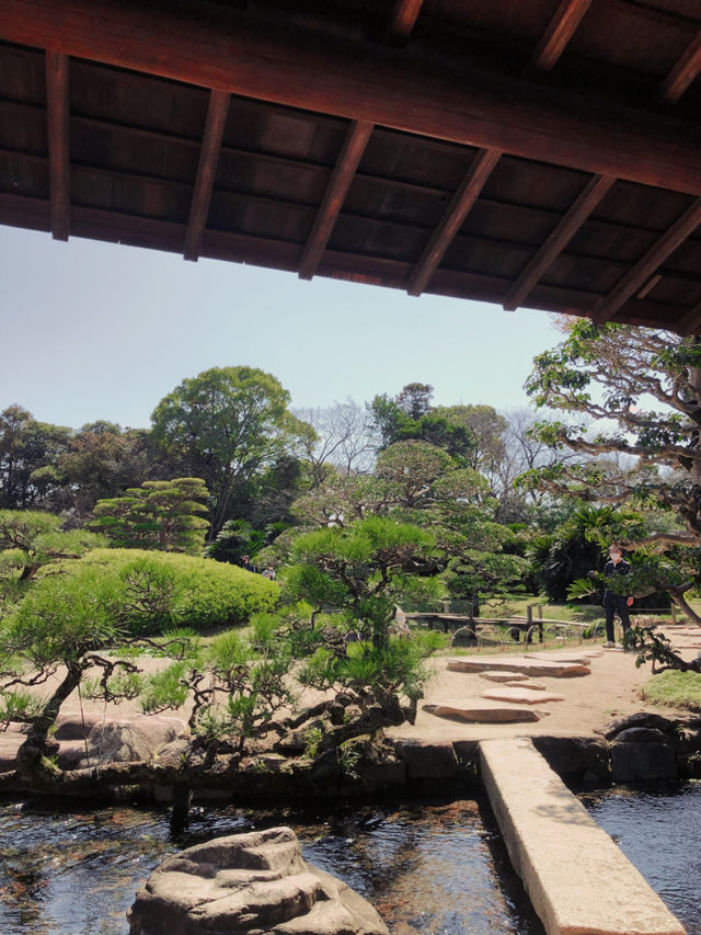 岡山 - 必去日本三大名園之一 :「後樂園」