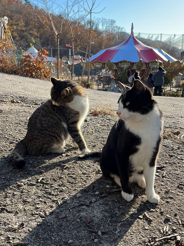 신비로운 분위기의 폐놀이공원, 용마랜드🎠