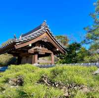 Tranquil Temples: Fukuoka's Zen Escape