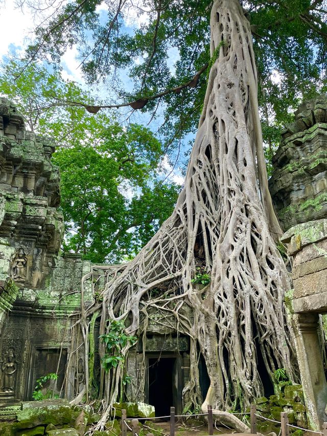 Cambodia's archaeological wonders. 