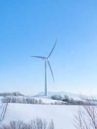 겨울날 눈 온 뒤 꼭 가야하는 최고의 설경 스팟❄️❄️