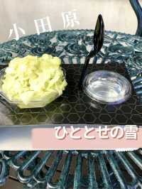 【小田原】果実を凍らせて作った新感覚かき氷✨