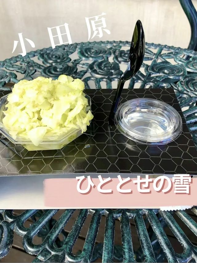 【小田原】果実を凍らせて作った新感覚かき氷✨