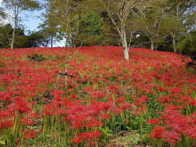 Shiroyama Park