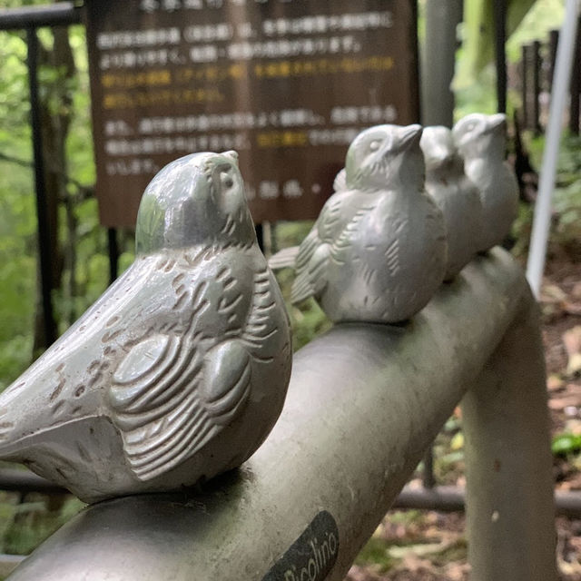 Nishizawa Gorge