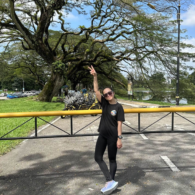 Taman Tasik Taiping a Green Paradise on Earth