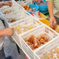 ข้าวแกงเก้าอี้ดนตรีในตำนานเยาวราช