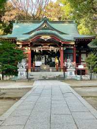 【東京都/中野氷川神社】中野区の「おひかわさま」
