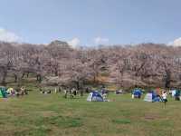 Negishi Forest Park