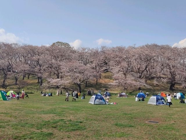 Negishi Forest Park
