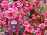 🌸🌸🌸超萌達摩祈願神社@黃埔天地