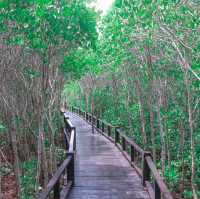 วนอุทยานปราณบุรี