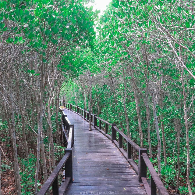 วนอุทยานปราณบุรี