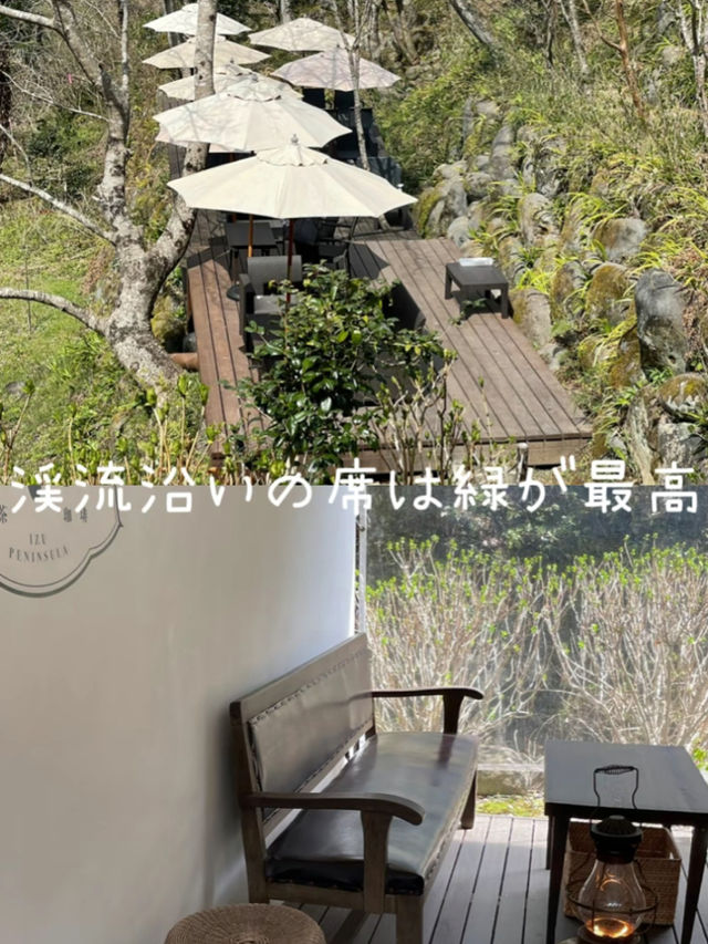 ゴールデンウィークに行きたい！伊豆市のオシャレカフェ　4選！人気の東府や系列やテラスが魅力のカフェ
