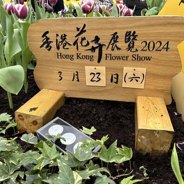 Hong Kong Flower Show  brings joy to town 