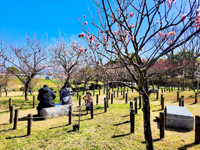 Umami-kyuryo Park 