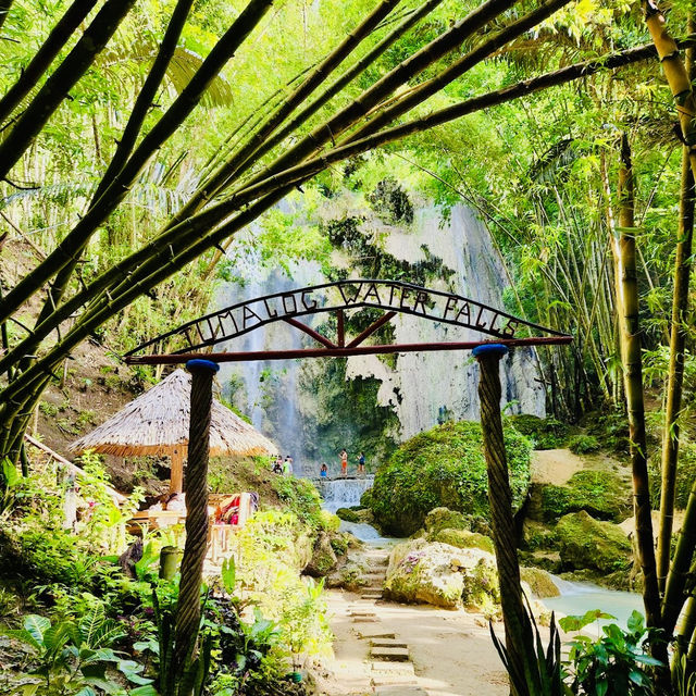 Tumalog Falls