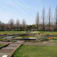 名古屋市の桜名所「荒子川公園」