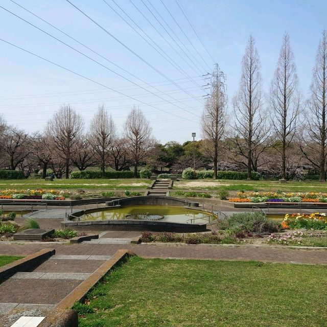 名古屋市の桜名所「荒子川公園」