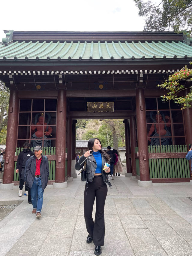 Spring in Kotoku-in ; Kamakura Daibutsu