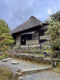必見の雅な枝垂れ桜🌸ねねのお寺を満喫しよう🥰🌸