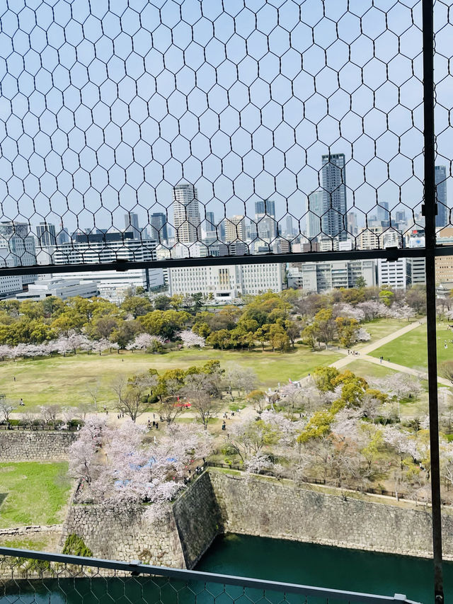 【大阪府】大阪観光に外せない大阪城！！