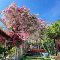 Lost Paradise Resort