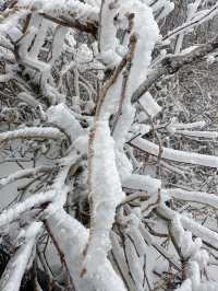 말그대로 겨울왕국❄️ 덕유산 눈꽃여행