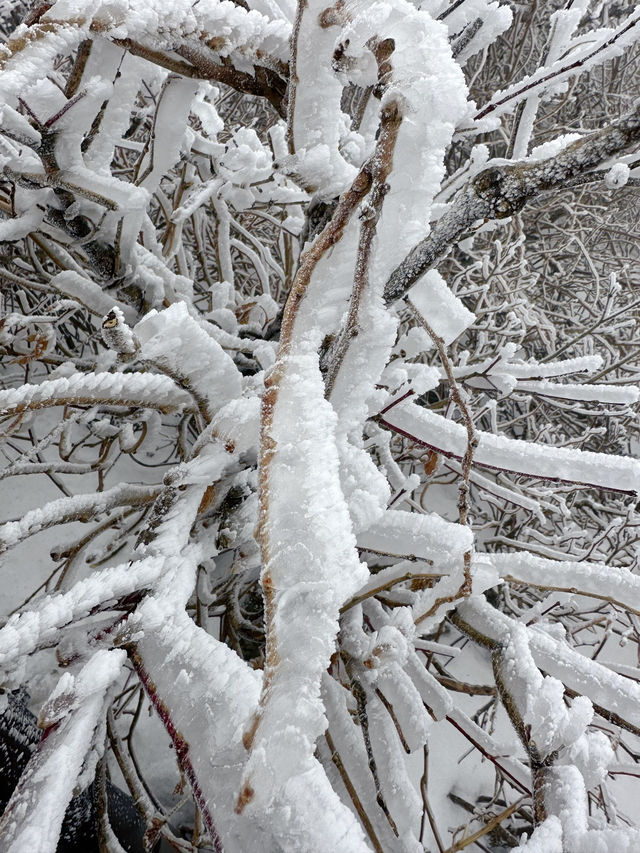 말그대로 겨울왕국❄️ 덕유산 눈꽃여행
