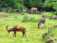 National Zoo of Malaysia