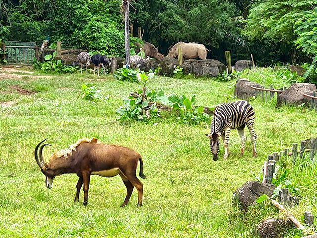 National Zoo of Malaysia