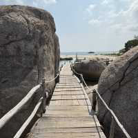 เกาะนางยวน