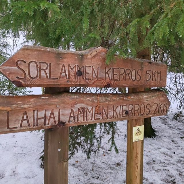 Winter Hike at Nuuksio National Park, Helsinki