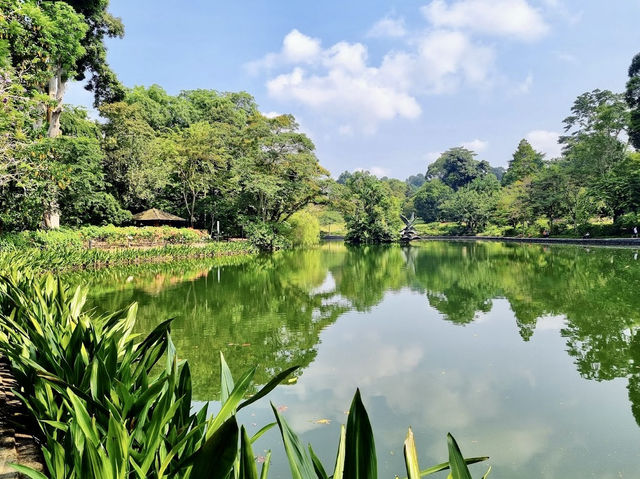 Singapore Botanic Gardens Gallop Extension