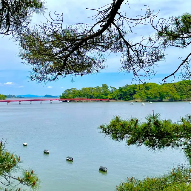 【宮城県・松島】日本三景の一つである松島に訪れました！