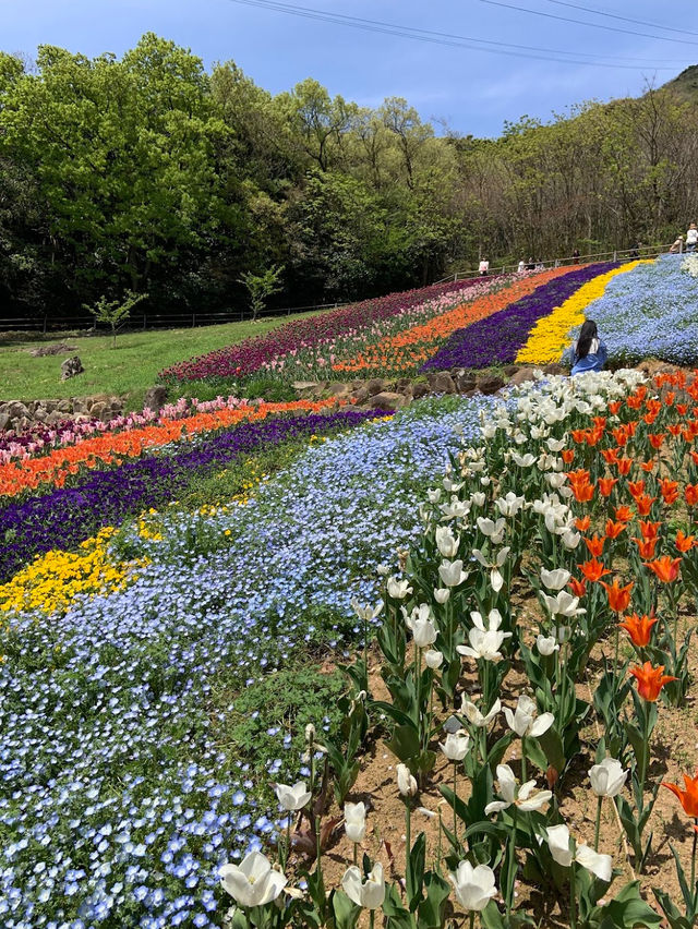 Hinoyama Park