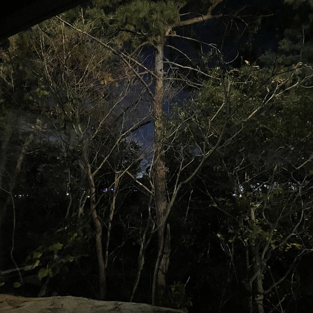 힐링 호캉스로 숲캉스는 어떠세요? in 여수 라테라스리조트