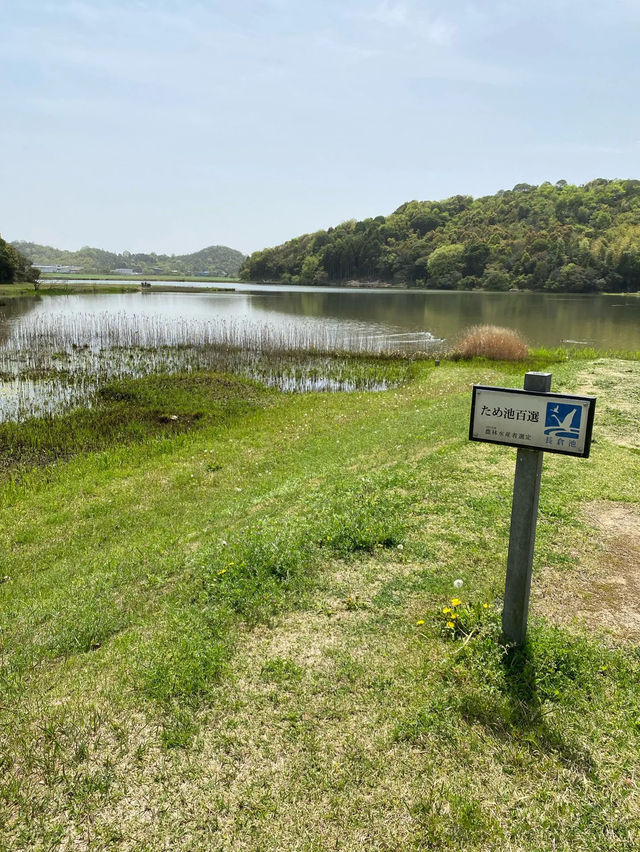 【加西市】玉丘史跡公園