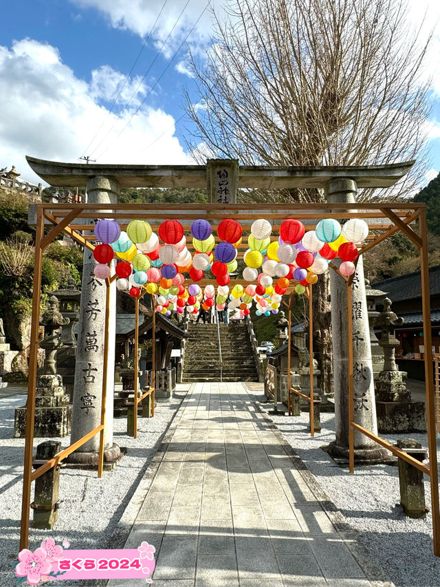 【佐賀観光】有田焼の鳥居が目を引く⛩運が良ければ鳥居の前を通る電車を見られるかも🚃