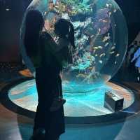 【兵庫】子供と楽しめる！最先端なアート水族館🪼