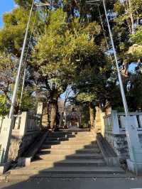 【小金井神社/東京都】緑生い茂る境内に石臼塚と弓道場