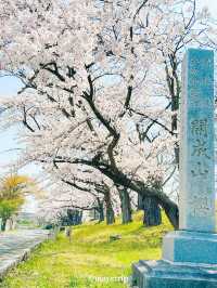 【福島】ポケモン好きにはたまらない公園