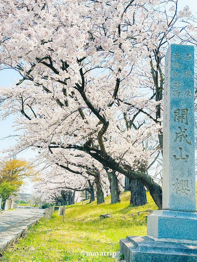 【福島】ポケモン好きにはたまらない公園