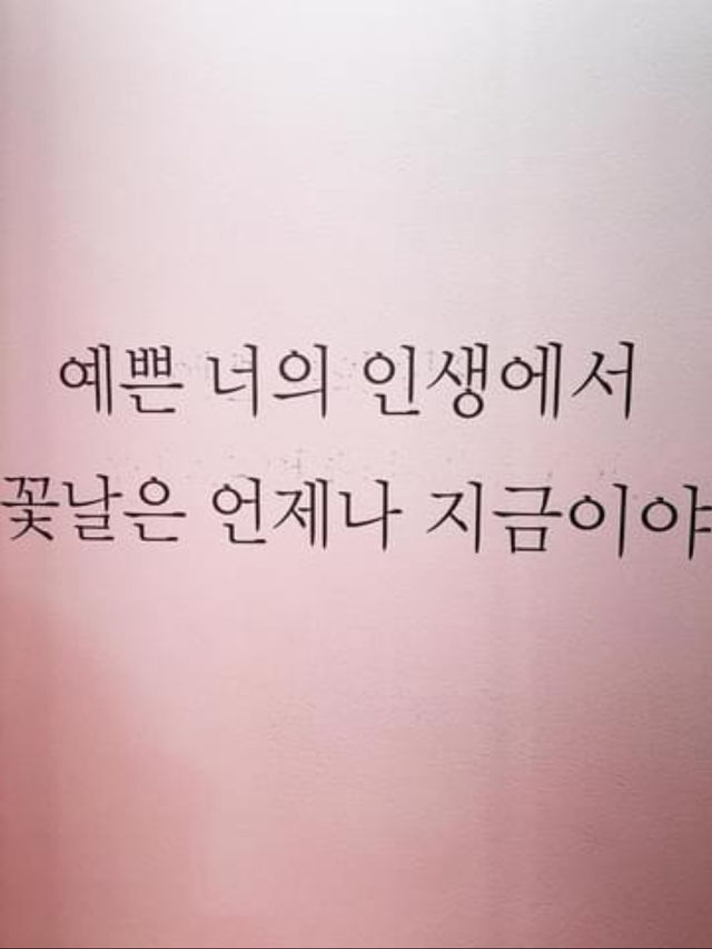 연트럴파크에서 전시회 관람하기